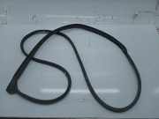 Türdichtung hinten links TOYOTA YARIS (_P9_)