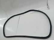 Türdichtung hinten links JAGUAR X-TYPE (X400)