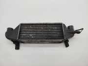 Ladeluftkühler FORD FOCUS Turnier (DNW)