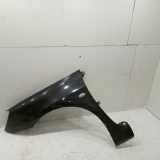 Kotflügel links SEAT ALTEA XL (5P5, 5P8)