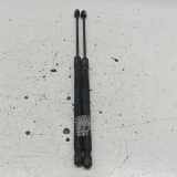 Gasfeder Heckklappe links/rechts SEAT EXEO ST (3R5)