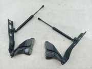Scharnier Motorhaube AUDI Q5 (8RB)