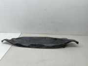 Spritzwand SEAT IBIZA III (6L1)
