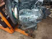 Motor RENAULT TWINGO II (CN0_)