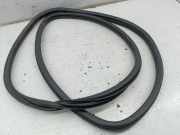 Türdichtung hinten links PEUGEOT 307 SW (3H)