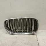 Kühlergrill BMW 5 (F10)