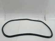 Türdichtung hinten links OPEL ASTRA J Sports Tourer (P10)