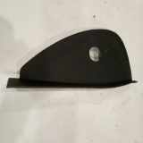 Armaturenbrettblende BMW X6 (E71, E72)