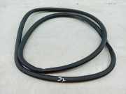 Türdichtung hinten links AUDI A4 Avant (8ED, B7)