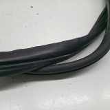 Türdichtung hinten links RENAULT MEGANE II (BM0/1_, CM0/1_)