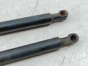 Gasfeder Heckklappe links/rechts BMW X5 (E53)