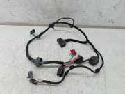 Kabelbaum Tür hinten links VOLKSWAGEN PASSAT Variant (3B6) AVF