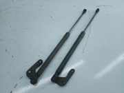 Gasfeder Heckklappe links/rechts BMW 1 (E87)