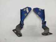 Motorhaubenscharnier RENAULT MEGANE II (BM0/1_, CM0/1_)