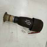 Federbein hinten links BMW 5 Touring (F11)