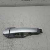 Türgriff außen hinten links VOLKSWAGEN PASSAT Variant (3B6)