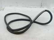 Türdichtung hinten links VOLKSWAGEN GOLF IV (1J1) AHW