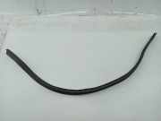Dichtung Armaturenbrett RENAULT CLIO II (BB_, CB_)