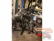 Motor ohne Anbauteile (Diesel) Citroen Berlingo I Kasten M