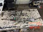 Lenkgetriebe Honda Insight ZE B809521617