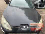 Motorhaube Peugeot 407