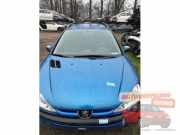 Hinterachskörper Peugeot 206 SW 2E/K