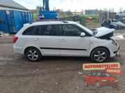 Türscheibe rechts vorne Skoda Fabia II Kombi 545