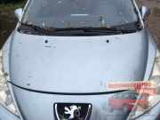 Motorhaube Peugeot 207 SW WK