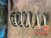 Feder hinten Fiat Croma 194