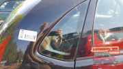 Dreieckscheibe rechts Citroen C3 I FC