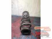 Feder hinten VW Polo V 6R, 6C XXXXXX
