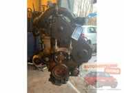 Motor ohne Anbauteile (Diesel) Ford Transit Connect P*2