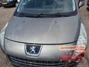 Motorhaube Peugeot 3008 I