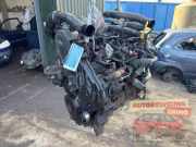 Motor ohne Anbauteile (Diesel) Ford Transit Connect P*2
