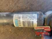 Stoßdämpfer rechts hinten Citroen C4 Cactus 9809739280