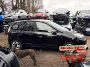 Türscheibe rechts vorne Renault Scenic III JZ