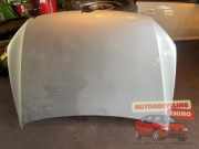 Motorhaube VW Polo V 6R, 6C