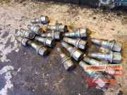 Radbolzensatz Renault Clio III BR0/1, CR0/1