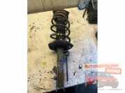 Stoßdämpfer links vorne Nissan Qashqai J10 34303