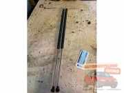 Heckklappendämpfer Citroen Berlingo I Kasten M 9625574380