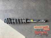 Federbein links hinten Ford Ka RBT 23935