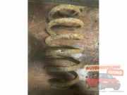 Feder hinten Fiat Croma 194