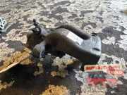Bremszange rechts hinten Renault Clio III BR0/1, CR0/1