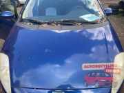 Motorhaube Fiat Grande Punto 199