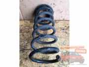 Feder hinten Fiat Panda 312, 319 XXXXX
