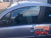 Türscheibe links vorne Citroen C3 I FC