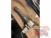 Zündspule Nissan Almera Tino V10 224486N002