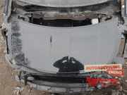 Motorhaube Smart Forfour 454