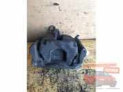 Bremszange rechts hinten Peugeot Expert II Kasten VF XXXXXX