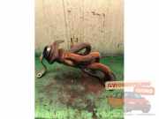Auspuffkrümmer Honda Jazz II GD, GE XXXXXX